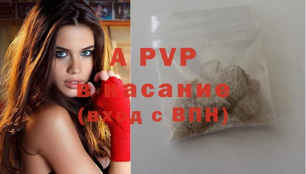 стаф Инта