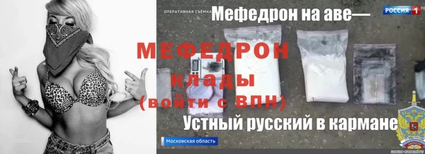 стаф Инта