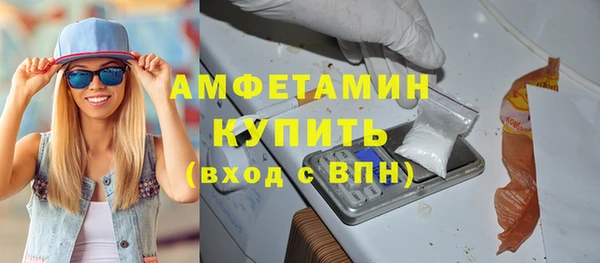 стаф Инта