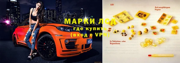 стаф Инта
