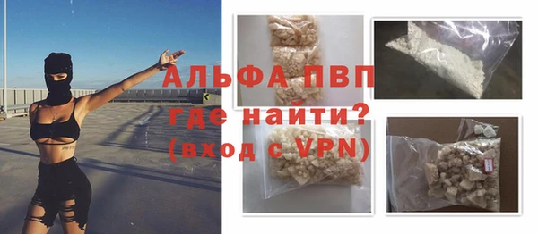 стаф Инта