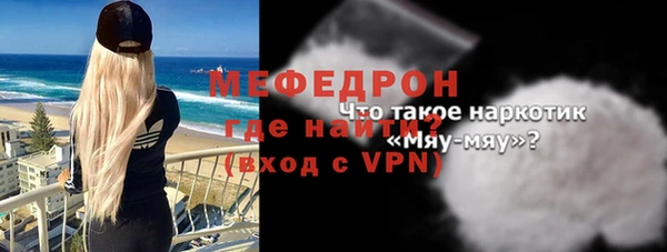 стаф Инта