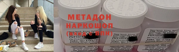 стаф Инта