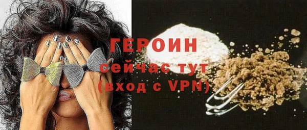 стаф Инта