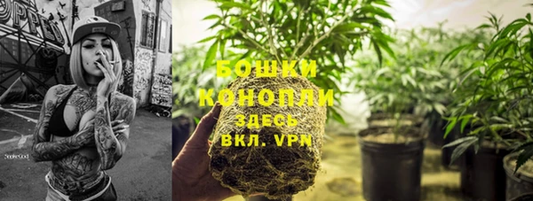 стаф Инта