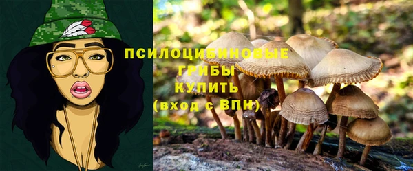 меф Инсар