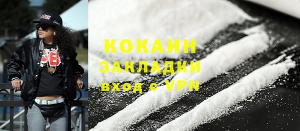 стаф Инта