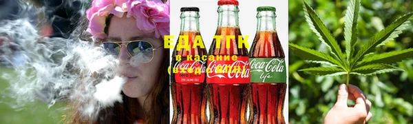 стаф Инта