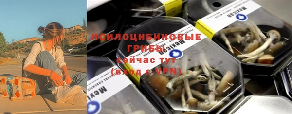 стаф Инта